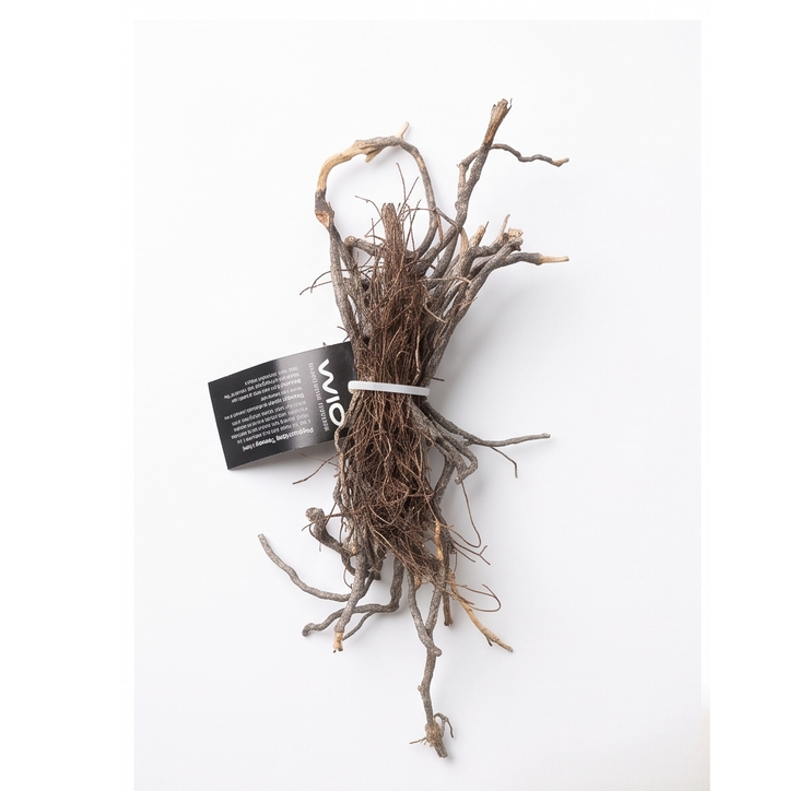 WIO Roots - Mini