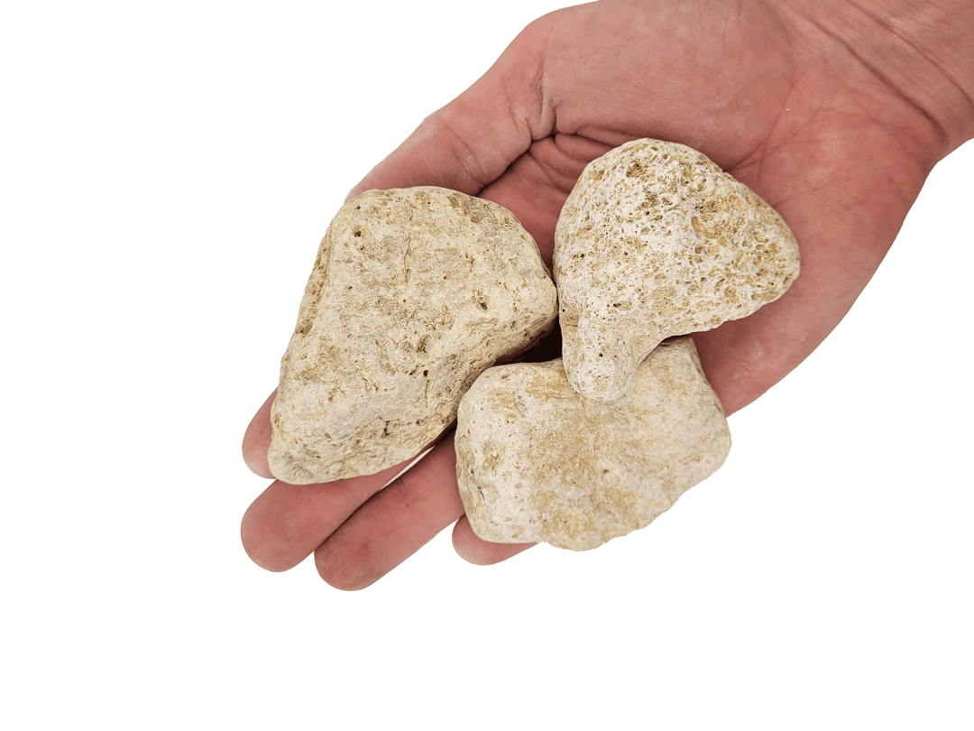 WIO Nano Boulder - White Adder