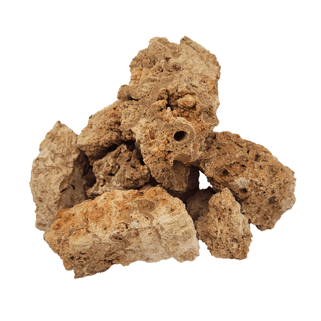 WIO Nano Rocks - Paleorock