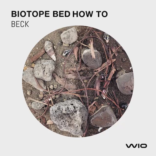 WIO Riverbed - Beck