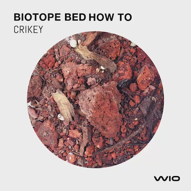 WIO Riverbed - Crikey