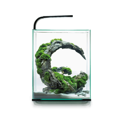 AquaEL Shrimp Set