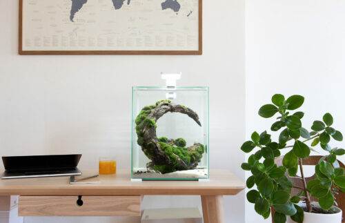 AquaEL Shrimp Set