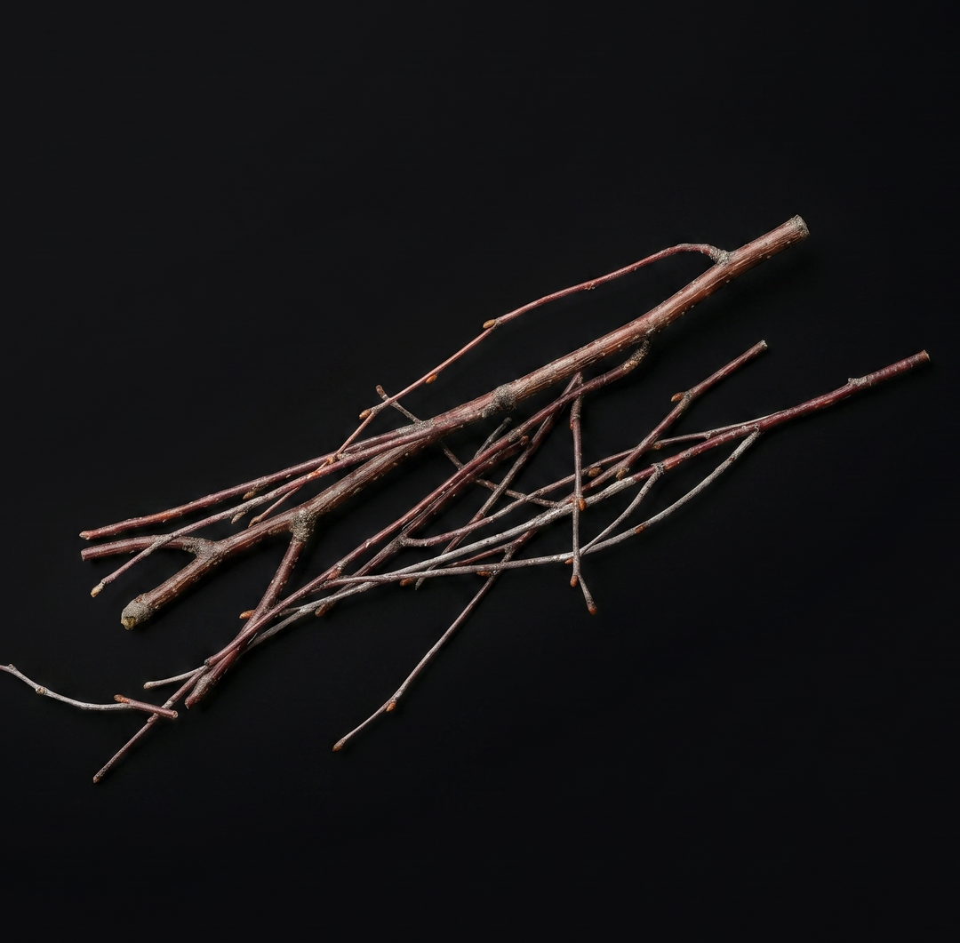 WIO Wood Bit - Sinking Twigs