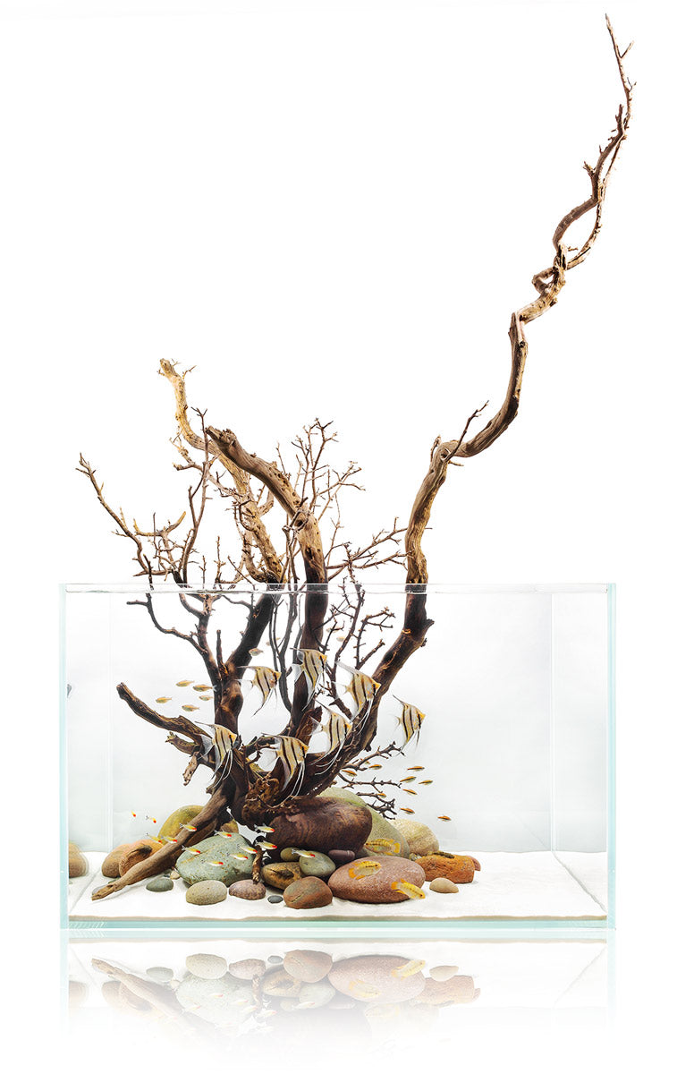 UNS Ultra Clear Rimless Aquariums