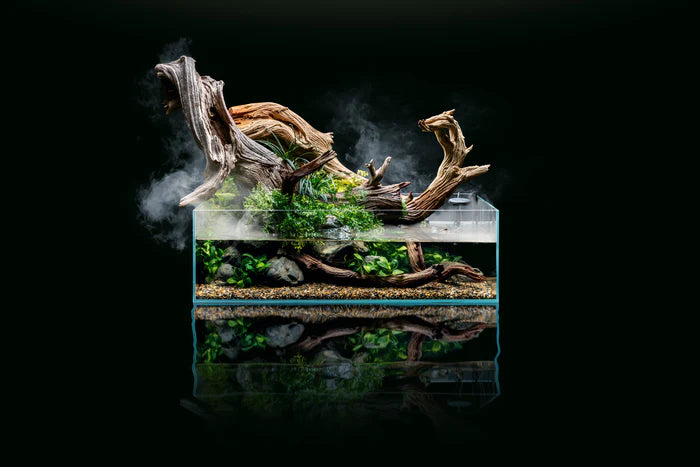 UNS Shallow Rimless Aquariums