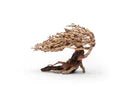 UNS Bonsai 019
