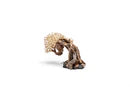 UNS Bonsai 013