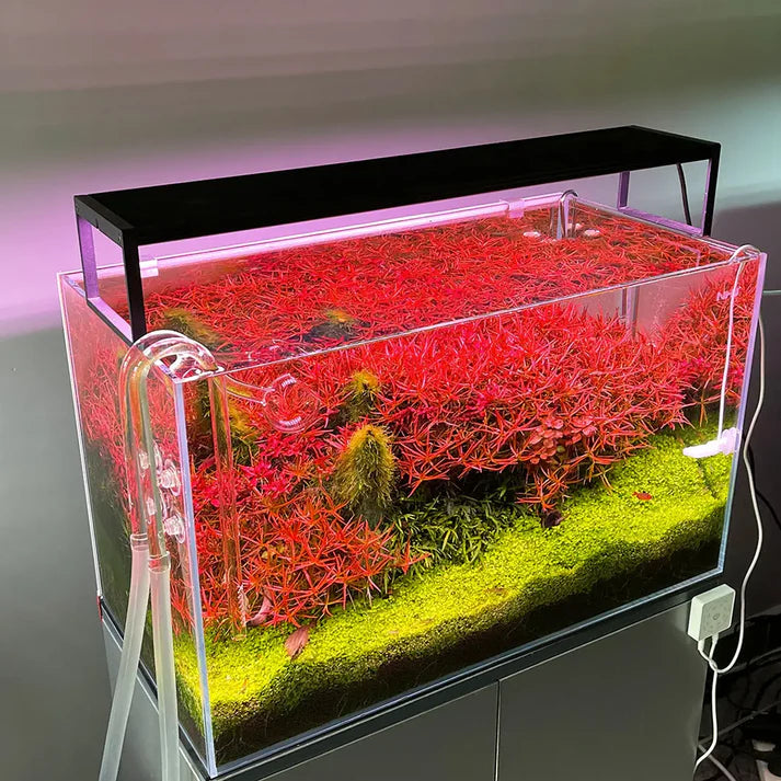 Chihiros WRGB II SLIM LED Light