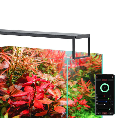 Chihiros WRGB II SLIM LED Light | Cuboid Aquatics LLC