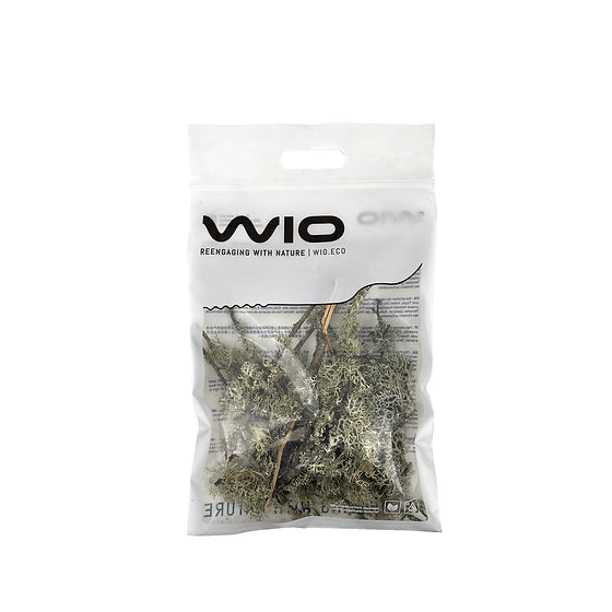 WIO Lichen - Branches