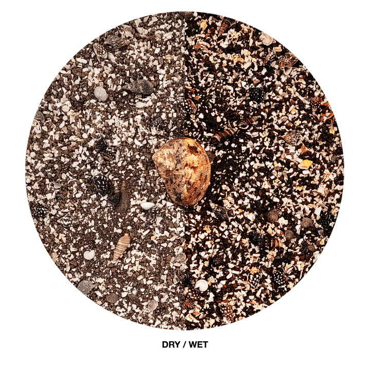 WIO Riverbed- Nautilus Dark*