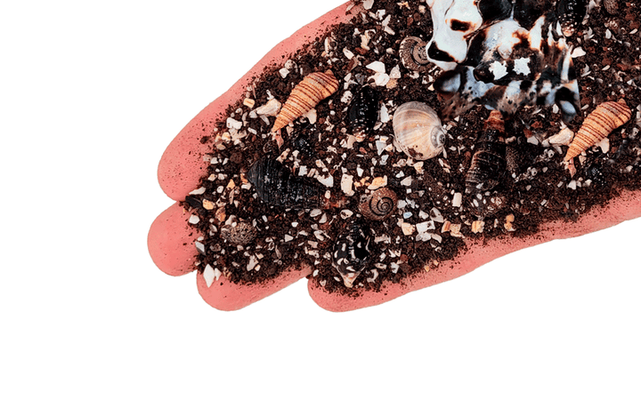 WIO Riverbed- Nautilus Dark*