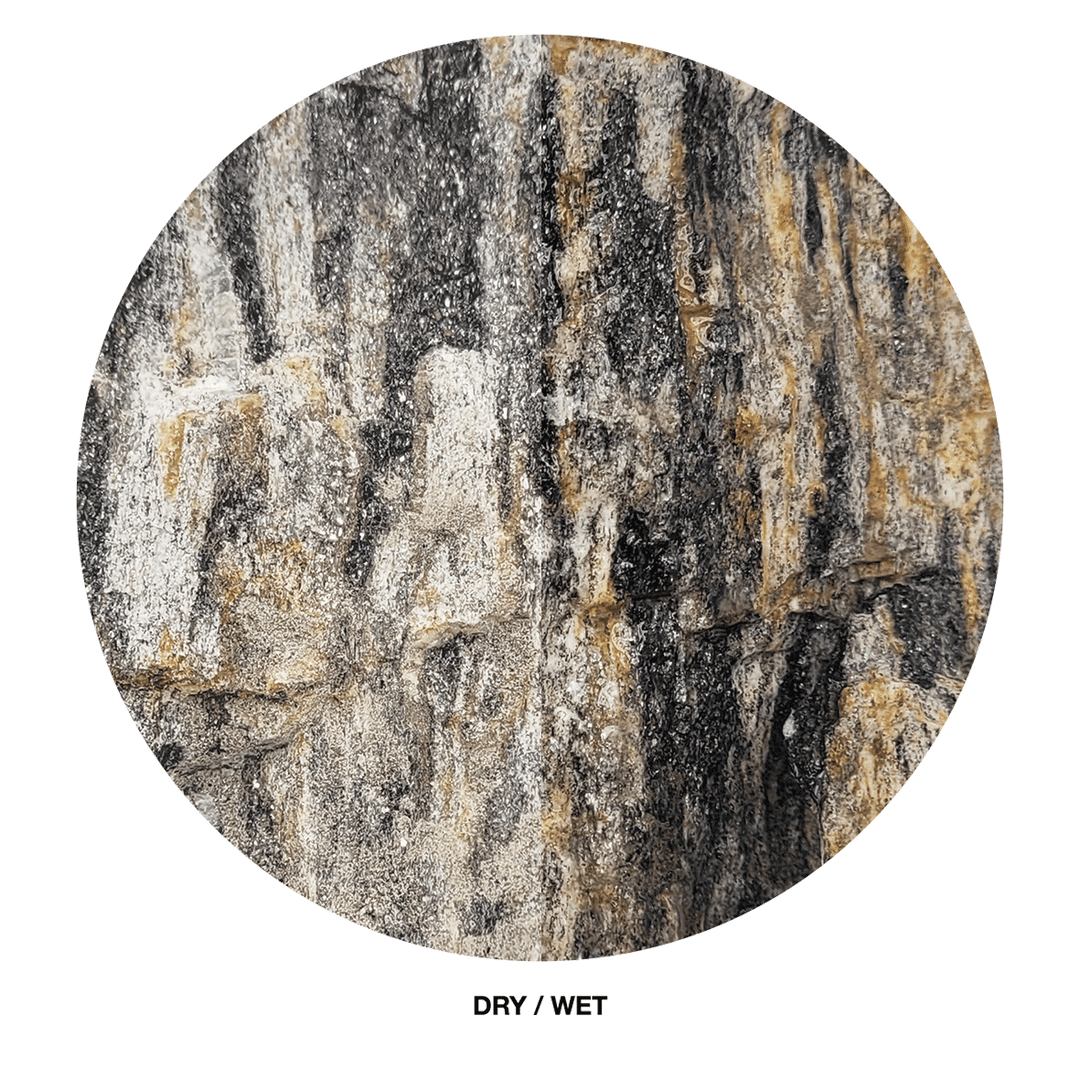 WIO Stone - Grey Fossil Wood