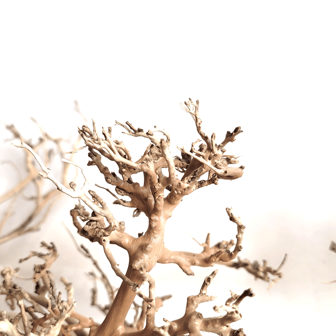 WIO Wood - Canopy