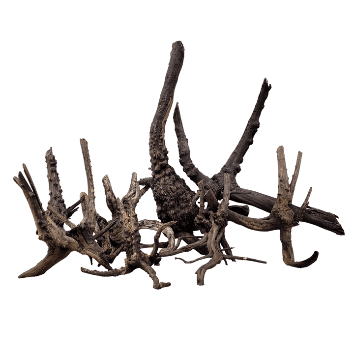 WIO Wood - Black Tree Trunk