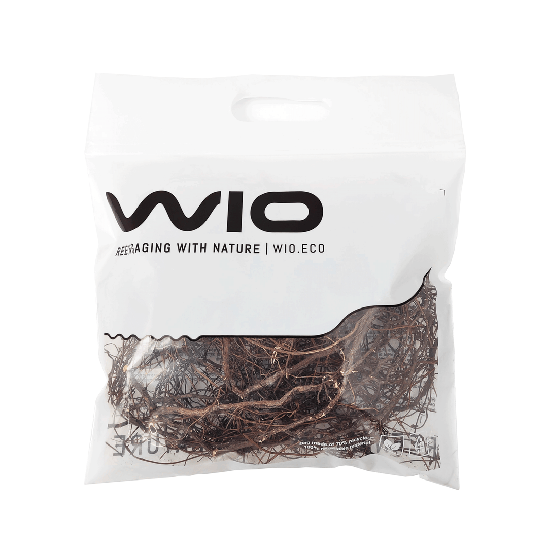 WIO Roots - Mini