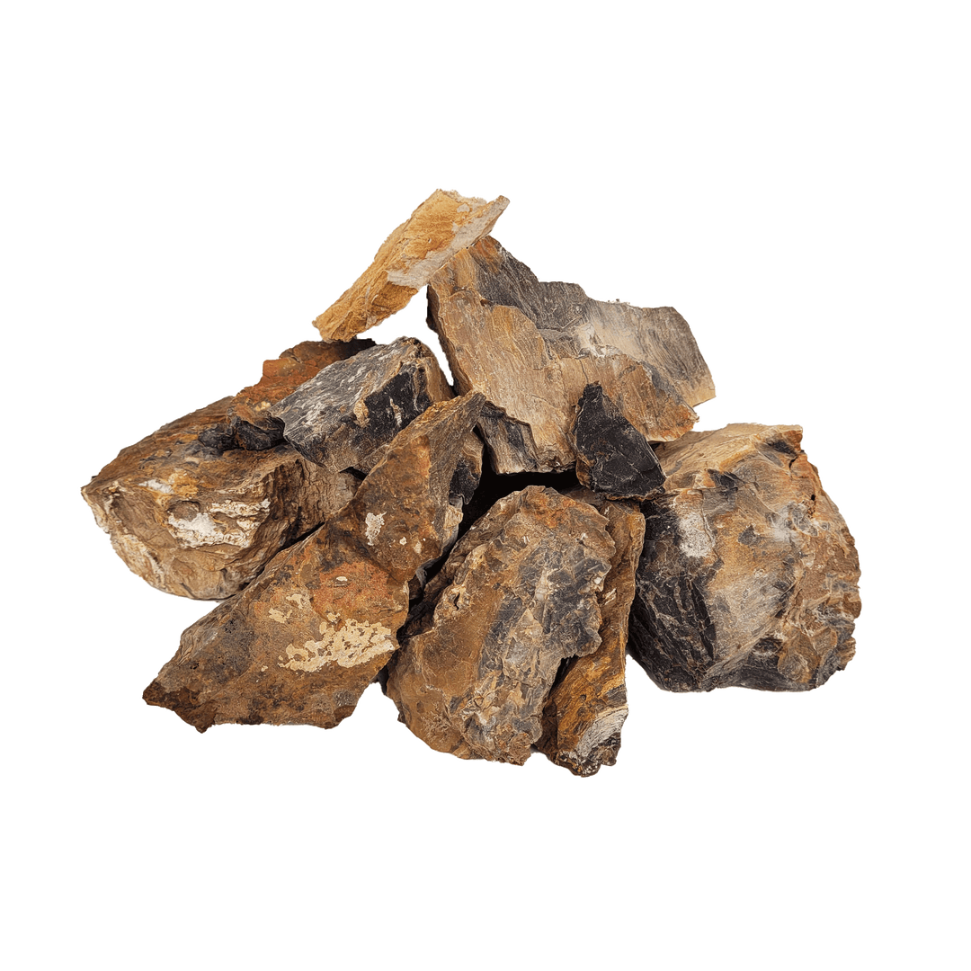WIO Nano Rocks - Fossil Wood*