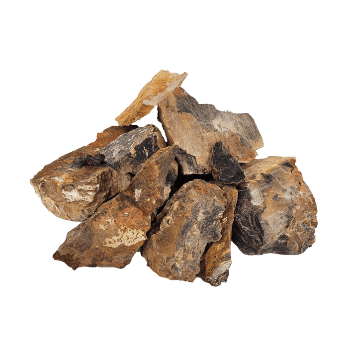 WIO Nano Rocks - Fossil Wood*