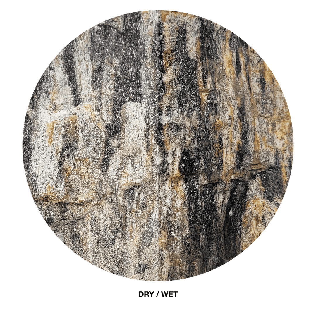 WIO Stone - Grey Fossil Wood