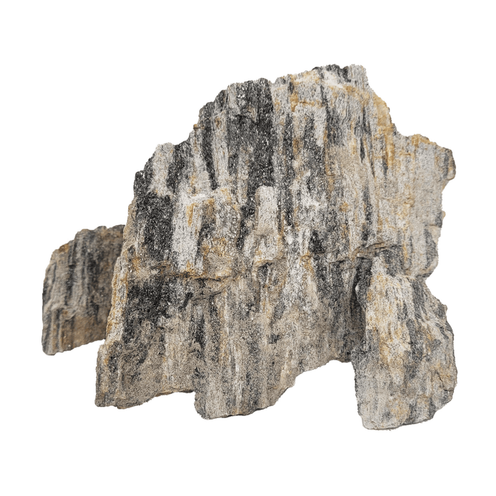 WIO Stone - Grey Fossil Wood