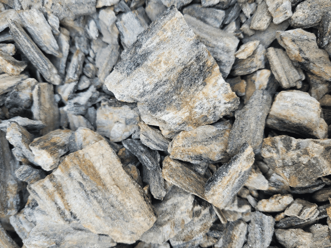 WIO Stone - Grey Fossil Wood