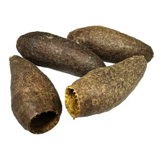 WIO Pods - Jequitiba Pod
