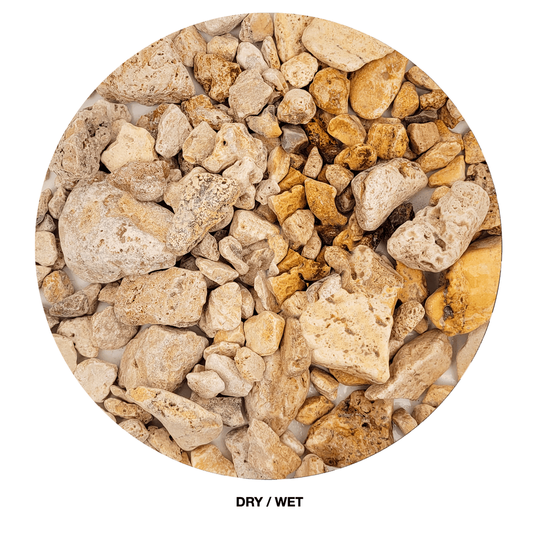 WIO Gravel - White Adder